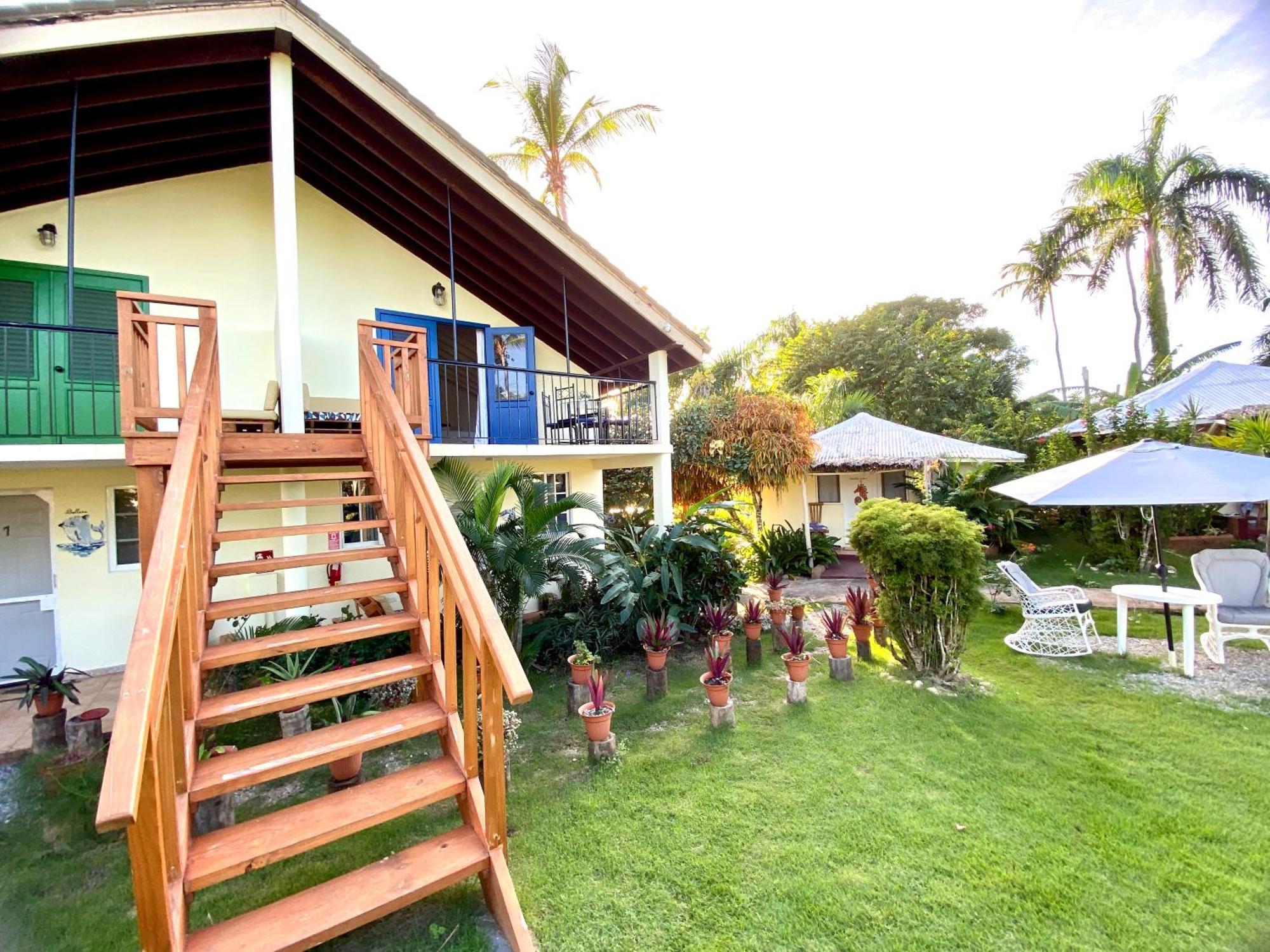 Arena Oceanview Hotel & La Terraza Restaurant Las Galeras Exterior photo