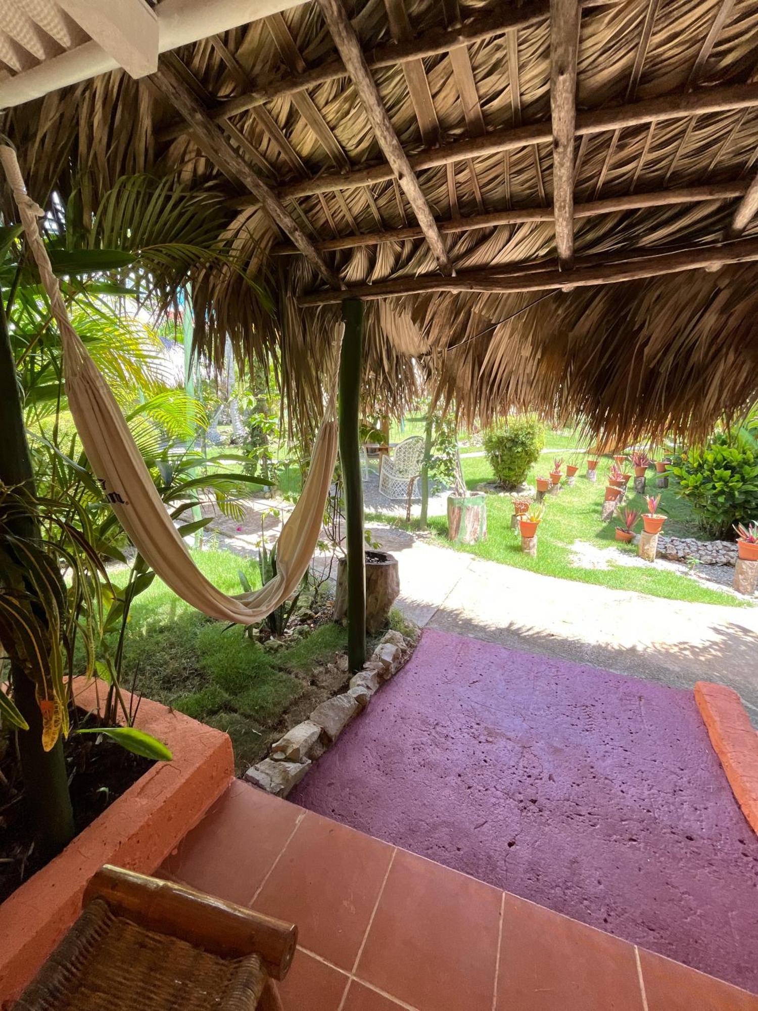 Arena Oceanview Hotel & La Terraza Restaurant Las Galeras Exterior photo