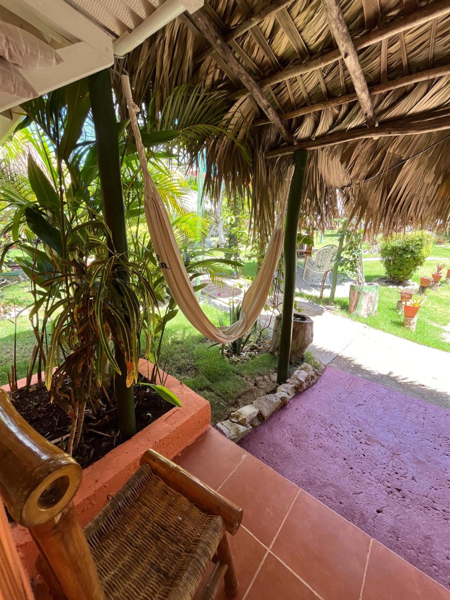 Arena Oceanview Hotel & La Terraza Restaurant Las Galeras Exterior photo