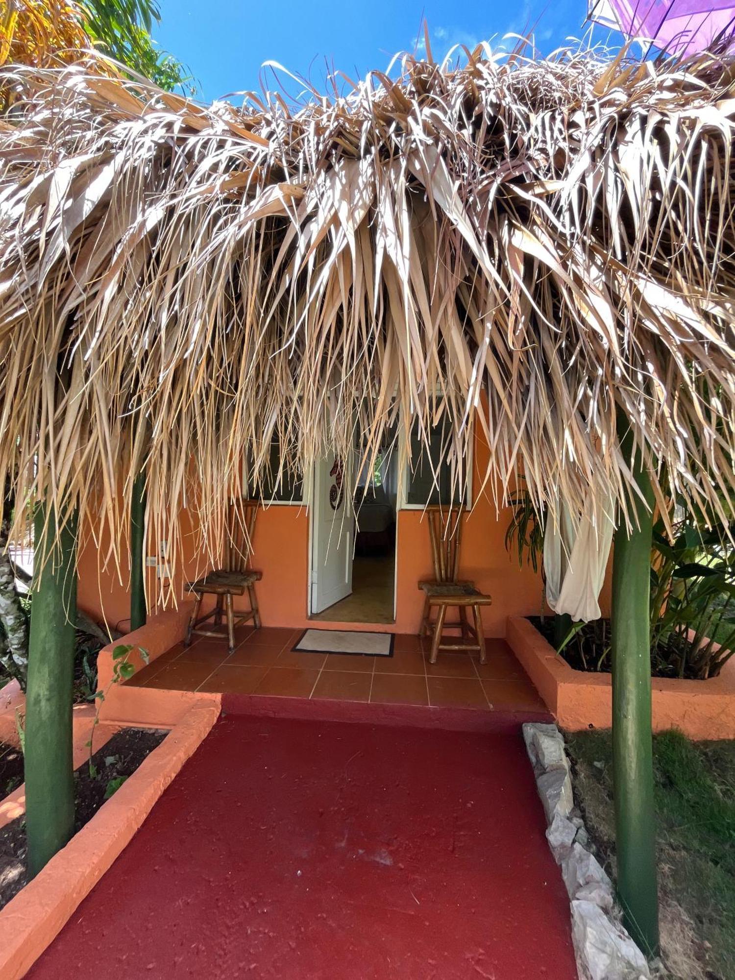 Arena Oceanview Hotel & La Terraza Restaurant Las Galeras Exterior photo