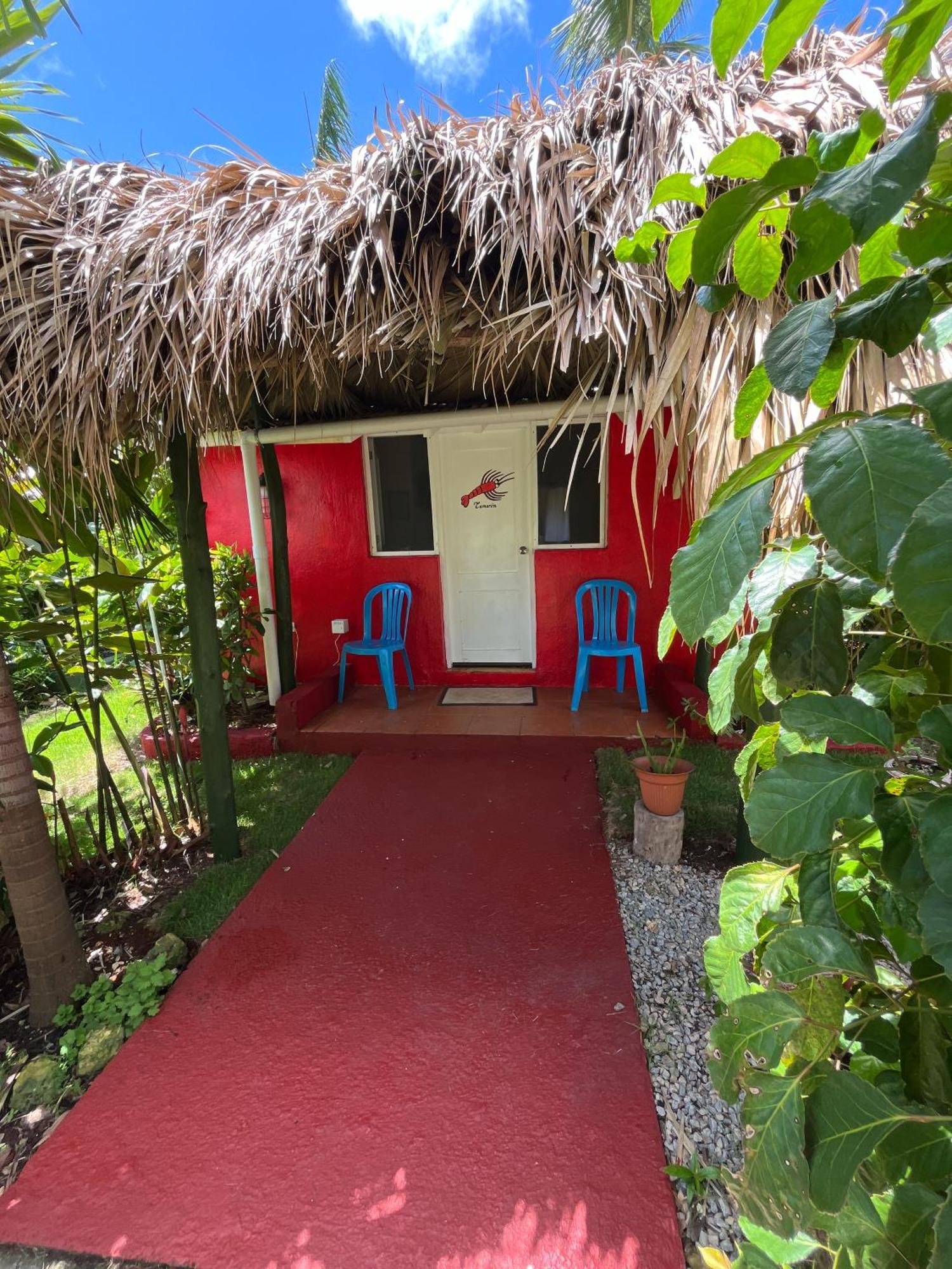 Arena Oceanview Hotel & La Terraza Restaurant Las Galeras Exterior photo